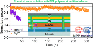 Graphical abstract: Governing PbI6 octahedral frameworks for high-stability perovskite solar modules