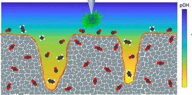 Graphical abstract: Direct observation of the local microenvironment in inhomogeneous CO2 reduction gas diffusion electrodes via versatile pOH imaging