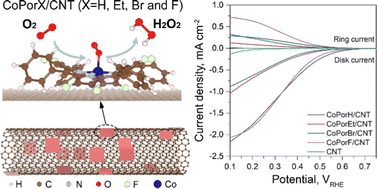 Graphical abstract: Heterogeneous molecular Co–N–C catalysts for efficient electrochemical H2O2 synthesis