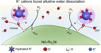 Graphical abstract: Engineering a local potassium cation concentrated microenvironment toward the ampere-level current density hydrogen evolution reaction