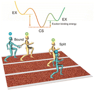 Graphical abstract: N-dopants optimize the utilization of spontaneously formed photocharges in organic solar cells