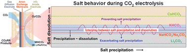 Graphical abstract: How alkali cations affect salt precipitation and CO2 electrolysis performance in membrane electrode assembly electrolyzers