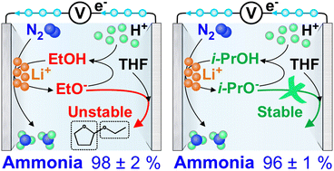 Graphical abstract: The chemistry of proton carriers in high-performance lithium-mediated ammonia electrosynthesis