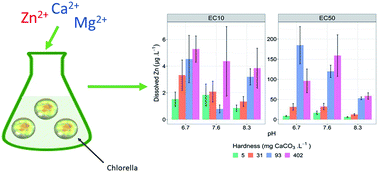 Graphical abstract: The influence of hardness at varying pH on zinc toxicity and lability to a freshwater microalga, Chlorella sp.