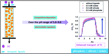 Graphical abstract: Transport of tetracycline in saturated porous media: combined functions of inorganic ligands and solution pH