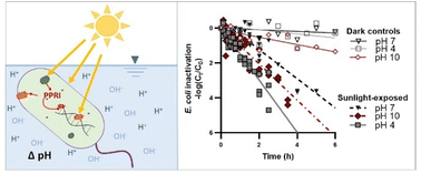 Graphical abstract: Effect of pH on endogenous sunlight inactivation rates of laboratory strain and wastewater sourced E. coli and enterococci