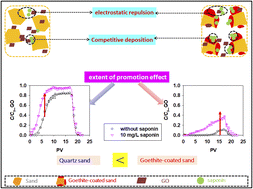 Graphical abstract: Biosurfactant-mediated mobility of graphene oxide nanoparticles in saturated porous media