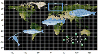 Graphical abstract: Modelling PCB-153 in northern ecosystems across time, space, and species using the nested exposure model