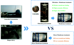 Graphical abstract: Filtration with cornstalks as a pre-treatment process to control membrane fouling in the concentration of biogas slurry: performance, mechanism and economic analysis