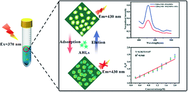 Graphical abstract: Sensitive detection of quorum signaling molecules (N-acyl homoserine lactones) in activated sludge based on surface molecularly imprinted polymers on CQDs@MIL-101