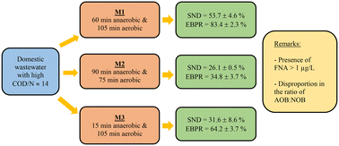 Graphical abstract: Simultaneous nitrogen and phosphorus removal from domestic wastewater in an aerobic granulation system operated at different anaerobic–aerobic durations