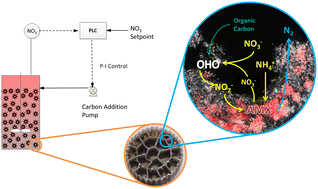 Graphical abstract: Comparison of carbon sources in a partial denitrification/anammox MBBR using glycerol, acetate, and methanol