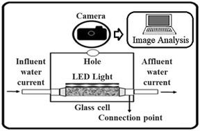 Graphical abstract: Continuous floc image analyser (C-FIA) for tracking floc particle dynamics during coagulation–flocculation–settling processes