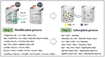 Graphical abstract: Adsorption removal of Mn2+ and NH4+–N from electrolytic manganese metal wastewater by modified phosphate ore flotation tailings