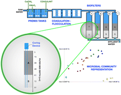 Graphical abstract: Microbiome and hydraulic performance changes of drinking water biofilters during disruptive events-media replacement, lake diatom bloom, and chlorination