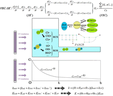 Graphical abstract: Improved VRC-3R− model for bulk water residual chlorine decay in the UV/Cl2 process for a water distribution network