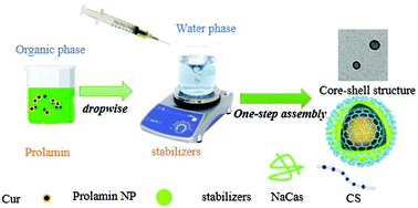 Graphical abstract: Chondroitin sulfate deposited on foxtail millet prolamin/caseinate nanoparticles to improve physicochemical properties and enhance cancer therapeutic effects