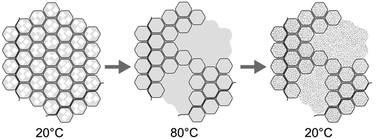 Graphical abstract: Temperature-dependent properties of fat in adipose tissue from pork, beef and lamb. Part 1: microstructural, thermal, and spectroscopic characterisation