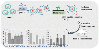 Graphical abstract: Fabrication of a donkey spleen ferritin–pectin complex to reduce iron release and enhance the iron supplementation efficacy