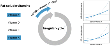 Graphical abstract: Serum fat-soluble vitamins and the menstrual cycle in women of childbearing age