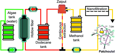 Graphical abstract: Continuous extraction and concentration of secreted metabolites from engineered microbes using membrane technology