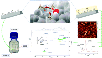Graphical abstract: Highly regioselective surface acetylation of cellulose and shaped cellulose constructs in the gas-phase