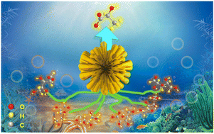Graphical abstract: Carbon quantum dots anchored on 1,2,3,5-tetrakis(carbazole-9-yl)-4,6-dicyanobenzene for efficient selective photo splitting of biomass-derived sugars into lactic acid