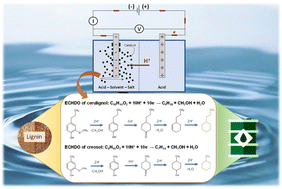 Graphical abstract: Hydrodeoxygenation of lignin related phenolic monomers in polar organic electrolyte via electrocatalysis in a stirred slurry catalytic reactor