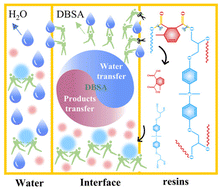 Graphical abstract: Efficient catalytic degradation of anhydride-cured epoxy resin by amphiphilic molecule catalysts
