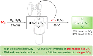 Graphical abstract: Novel methane activation by sulfur dioxide and molecular oxygen via trifluoroacetylsulfuric acid