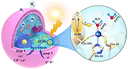Graphical abstract: Endowing cells with unnatural photocatalytic ability for sustainable chemicals production by bionic minerals-triggering