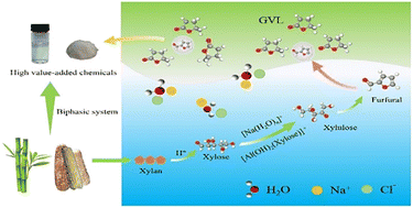 Graphical abstract: The weak interaction between polar aprotic solvent and saline water enables efficient production of furans from lignocellulosic biomass