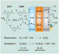 Graphical abstract: Spatial charge separation on the (110)/(102) facets of cocatalyst-free ZnIn2S4 for the selective conversion of 5-hydroxymethylfurfural to 2,5-diformylfuran