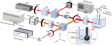 Graphical abstract: Applying plasma acoustic and image information for underwater LIBS normalization