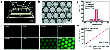 Graphical abstract: High-throughput probing macrophage–bacteria interactions at the single cell level with microdroplets