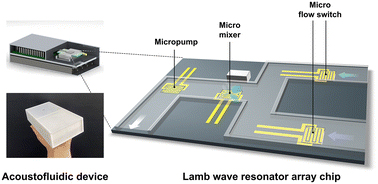 Graphical abstract: A self-contained acoustofluidic platform for biomarker detection