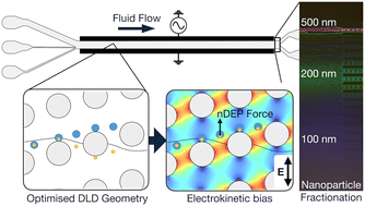 Graphical abstract: Electrokinetic deterministic lateral displacement for fractionation of vesicles and nano-particles