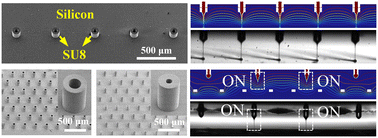 Graphical abstract: High density, addressable electrohydrodynamic printhead made of a silicon plate and polymer nozzle structure