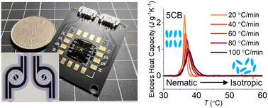 Graphical abstract: Sub-nL thin-film differential scanning calorimetry chip for rapid thermal analysis of liquid samples