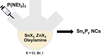 Graphical abstract: Synthesis and elucidation of local structure in phase-controlled colloidal tin phosphide nanocrystals from aminophosphines