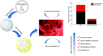 Graphical abstract: Preparation of highly crosslinked polyvinylpyrrolidone–polydivinylbenzene adsorbents based on reinitiation of suspended double bonds to achieve excellent blood compatibility and bilirubin removal