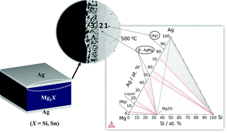 Graphical abstract: Effect of joining temperature on the interconnection zone and electrical resistance of Ag/n-Mg2Si and Ag/n-Mg2Sn contacts