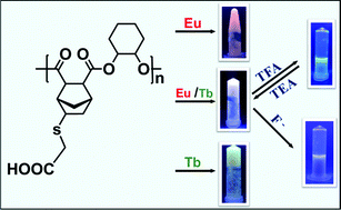 Graphical abstract: Multi-stimuli responsive and intrinsically luminescent polymer metallogel through ring opening copolymerization coupled with thiol-ene click chemistry