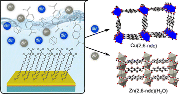 Graphical abstract: Competing phases in the room-temperature M2(2,6-ndc)2(dabco) metal–organic framework thin film synthesis