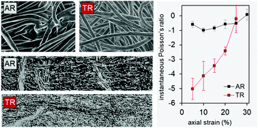 Graphical abstract: Towards textile metamaterials: a pathway to auxeticity and tensegrity in a needle-punched nonwoven stiff felt