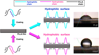 Graphical abstract: Facile control of the surface property and hydrolytic degradation of poly(l-lactide) materials by coating poly(l-lactide)-based triblock copolymers with hydrophilic or hydrophobic block