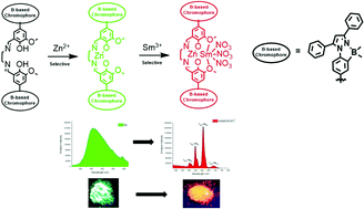 Graphical abstract: Tetra-coordinated boron-appended zinc(ii)-salen: a highly selective fluorescence-based sensor for Sm3+ ions via sensitization