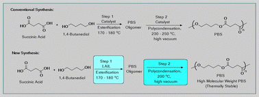 Graphical abstract: Novel hydrolytically stable Lewis acidic ionic liquid catalyst system for polybutylene succinate (PBS) synthesis