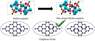 Graphical abstract: Zinc-doped hydroxyapatite and graphene oxide composites for bone and teeth implants: a theoretical understanding