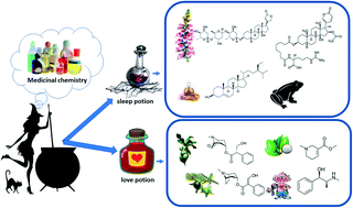 Graphical abstract: Witches, potions, and metabolites: an overview from a medicinal perspective